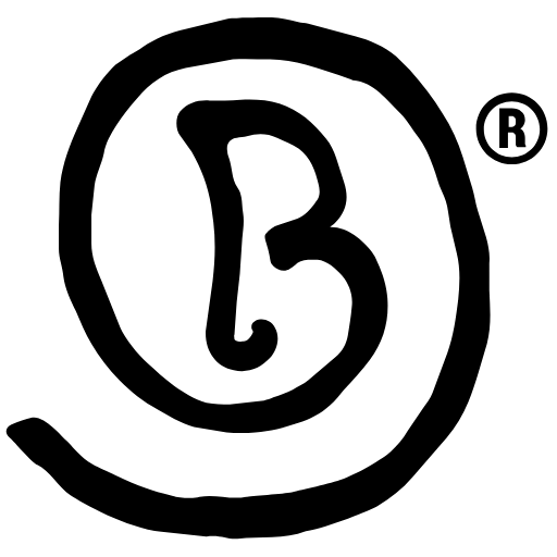 Bernegger Logo schwarz